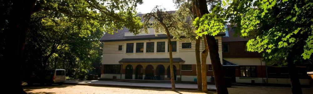 Bos met Heibrand tussen de bomen